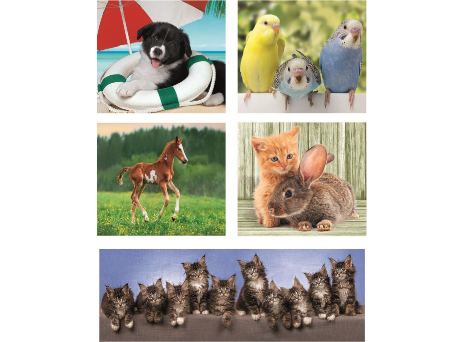 CLEMENTONI Puzzle Zvierací kamaráti 10v1 (18, 30, 48, 60 dielikov)