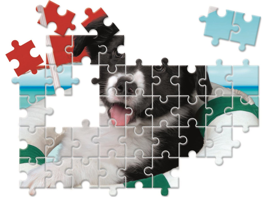 CLEMENTONI Puzzle Zvierací kamaráti 10v1 (18, 30, 48, 60 dielikov)