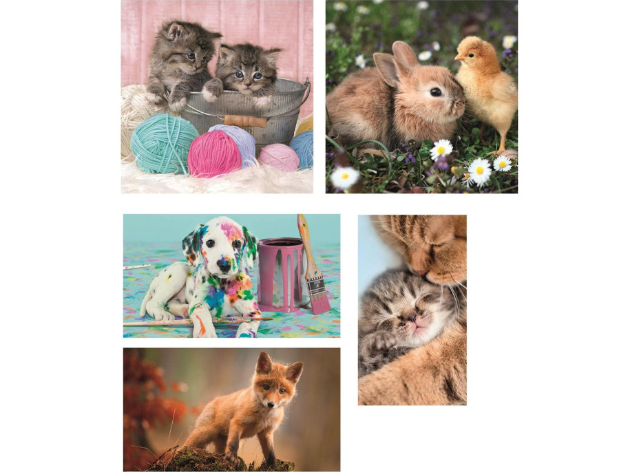 CLEMENTONI Puzzle Zvierací kamaráti 10v1 (18, 30, 48, 60 dielikov)