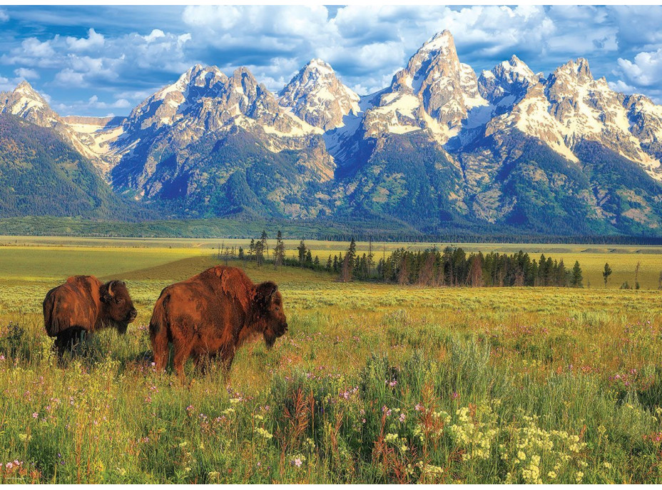 EUROGRAPHICS Puzzle Národný park Grand Teton 1000 dielikov