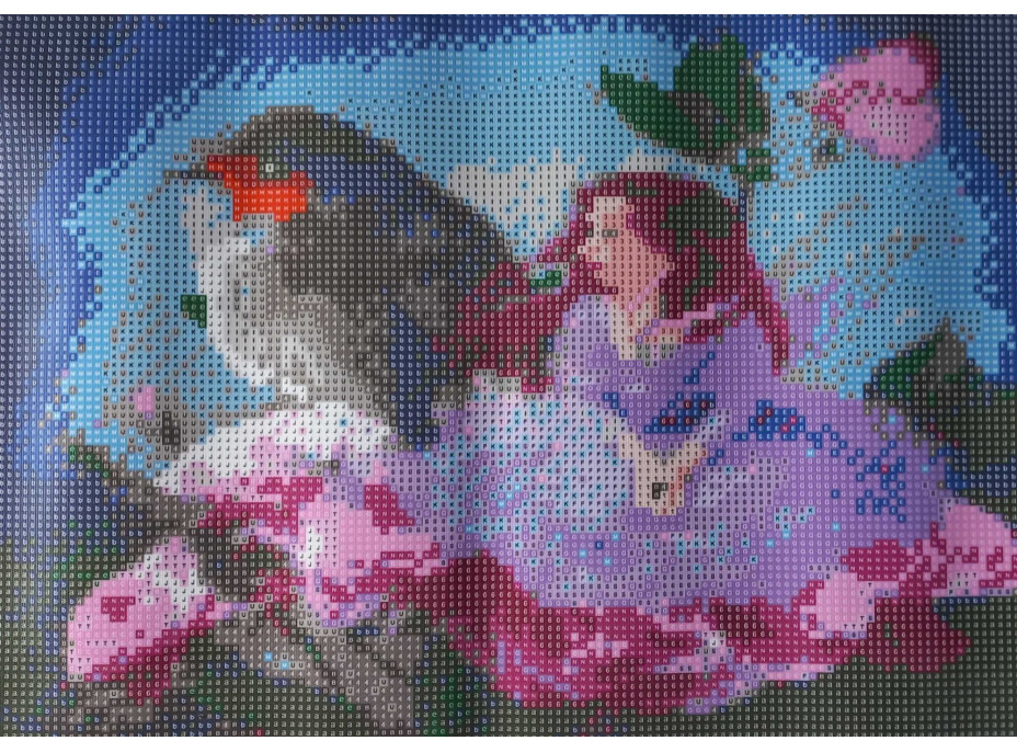 Norimpex Diamantové maľovanie Červenka s kvetinovou vílou 30x40 cm