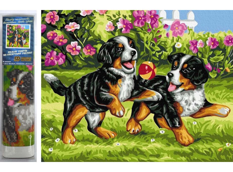 Norimpex Diamantové maľovanie Hravé šteniatka 30x40 cm