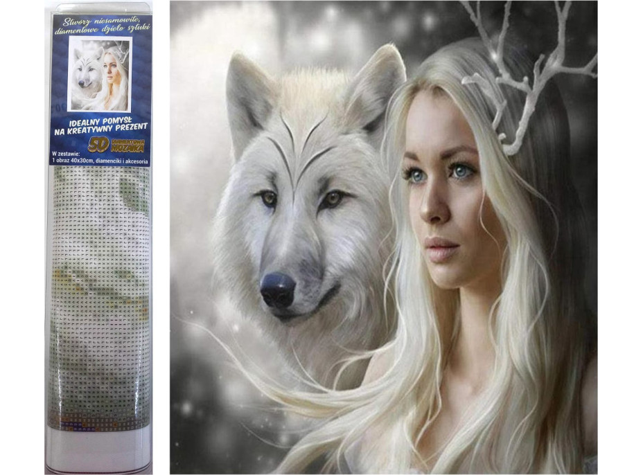 Norimpex Diamantové maľovanie Kráľovná ľadových plání 30x40 cm