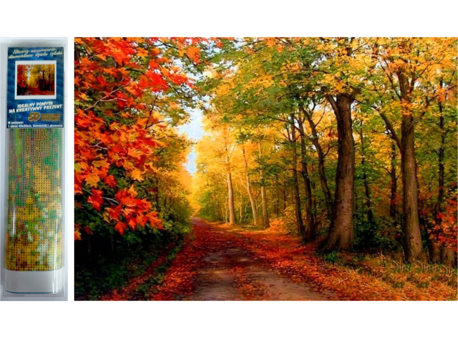 Norimpex Diamantové maľovanie Jeseň v lese 30x40 cm