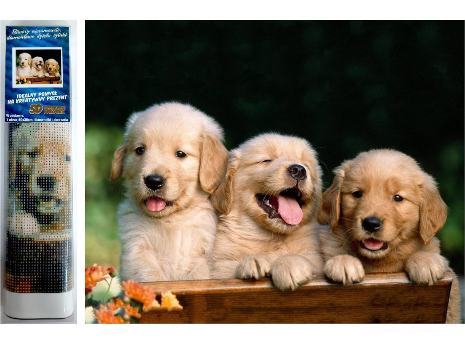 Norimpex Diamantové maľovanie Roztomilé trio 30x40 cm