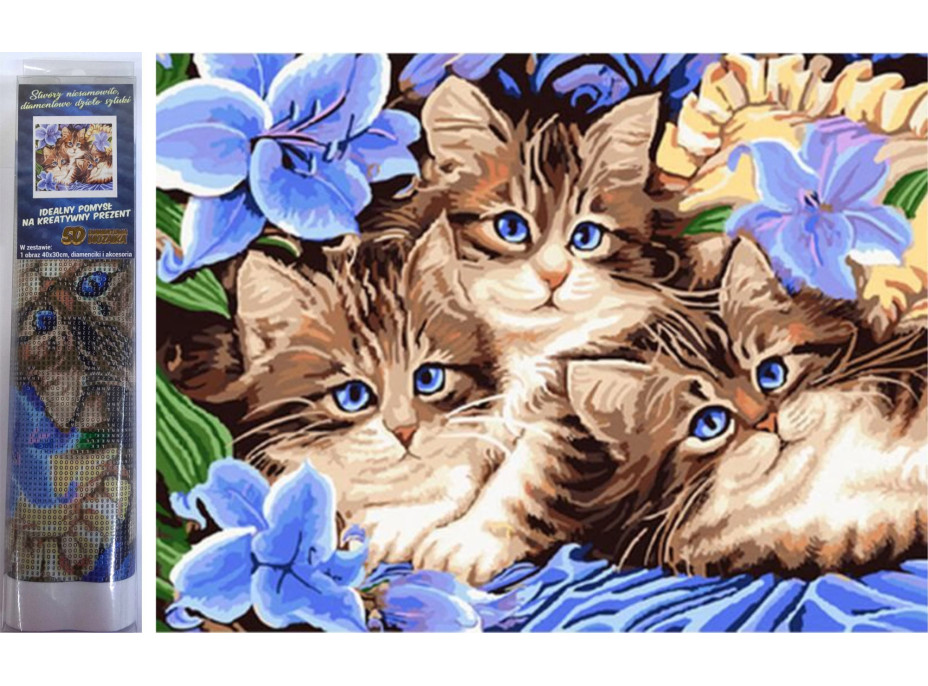 Norimpex Diamantové maľovanie Tri mačiatka v kvetoch 30x40 cm