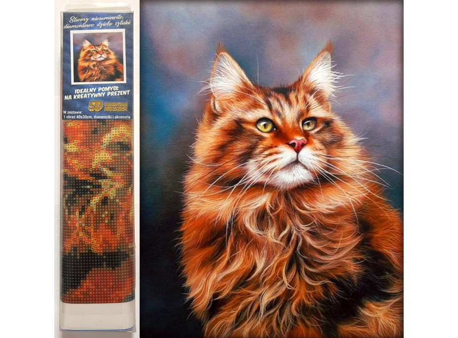Norimpex Diamantové maľovanie Ryšavý kocúr 30x40 cm