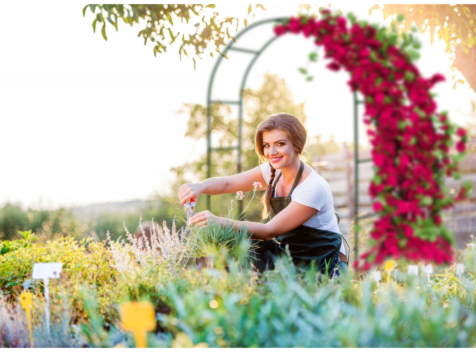 Záhradná kovová pergola 240 cm - oblúk