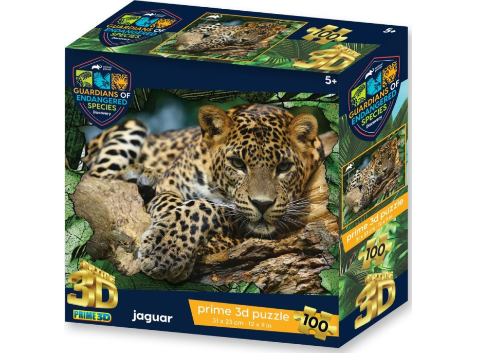 PRIME 3D Puzzle Animal planét: Ohrozené druhy - Jaguár 3D 100 dielikov