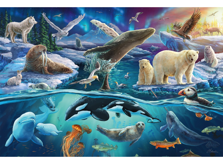 SCHMIDT Puzzle Arktické zvieratá 150 dielikov