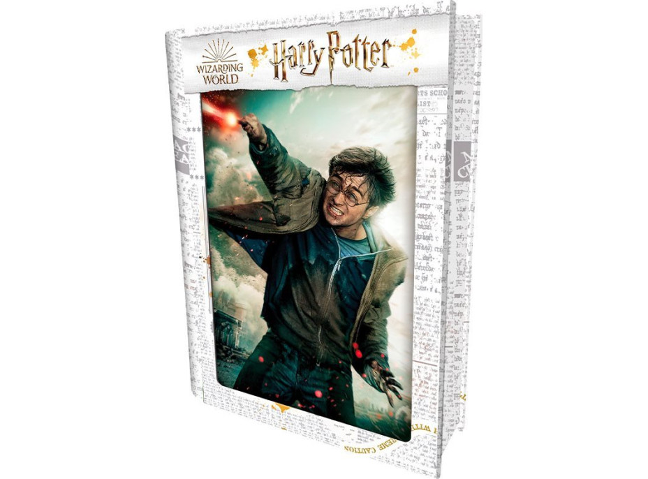 PRIME 3D Puzzle Harry Potter: Harry 3D 300 dielikov