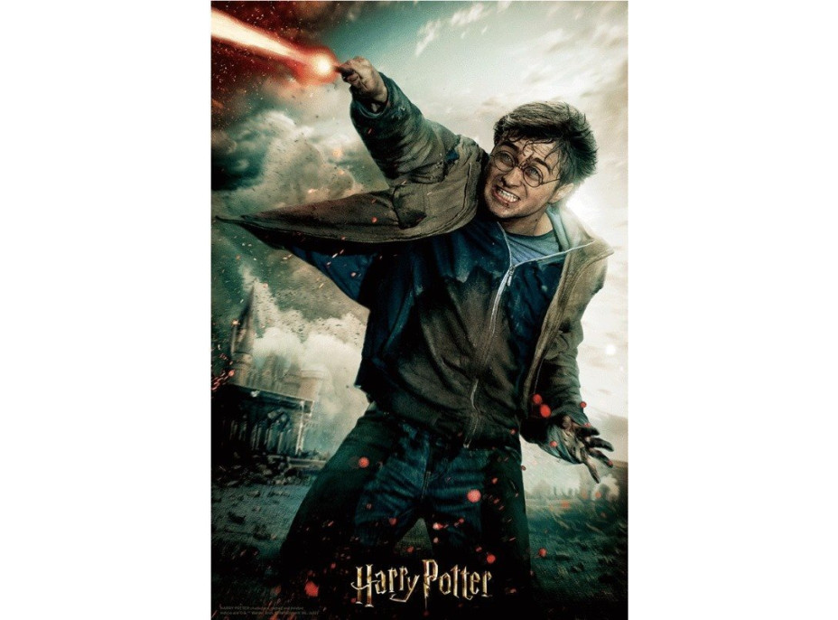 PRIME 3D Puzzle Harry Potter: Harry 3D 300 dielikov