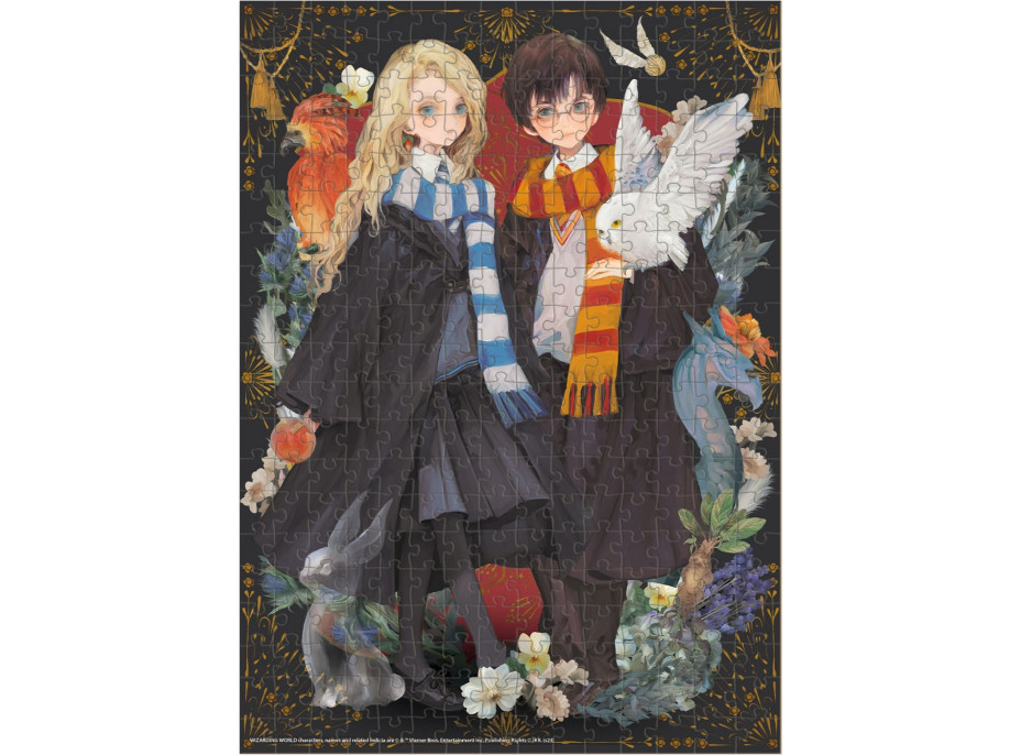 DODO Puzzle Harry Potter: Harry a Lenka 300 dielikov