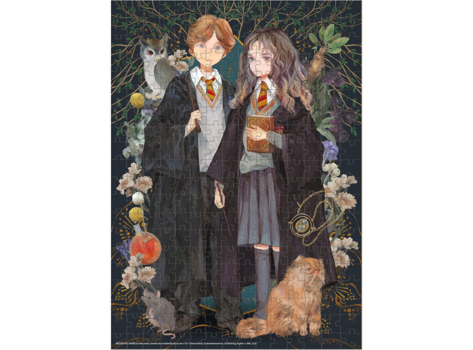 DODO Puzzle Harry Potter: Ron a Hermiona 300 dielikov