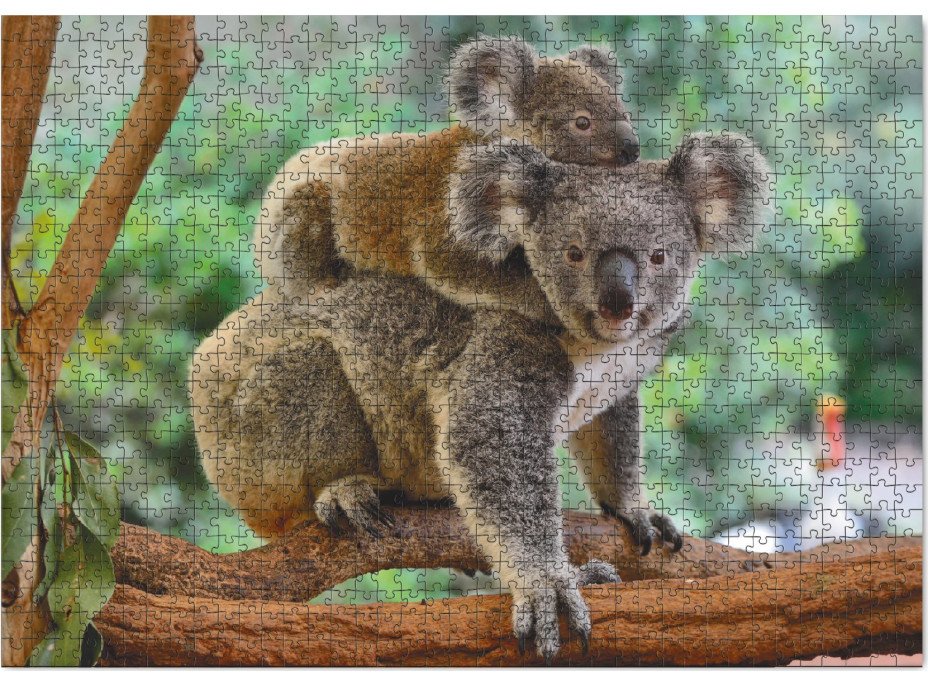 DODO Puzzle Koala s mláďaťom 1000 dielikov