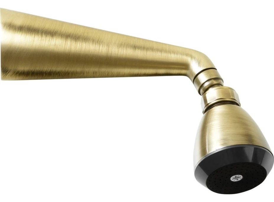 Sapho Nástenná sprcha s otočným kĺbom, bronz 9046