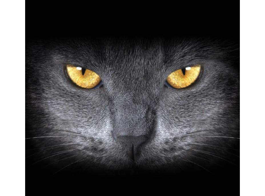 Dizajnový záves mačacie oči 280x245 cm