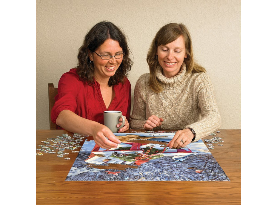 COBBLE HILL Puzzle Hrejivý zimný deň 1000 dielikov