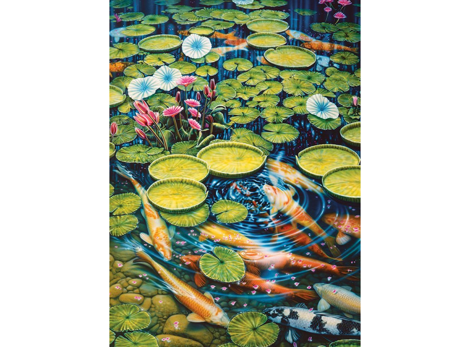COBBLE HILL Puzzle Jazierko s koi kaprmi 1000 dielikov
