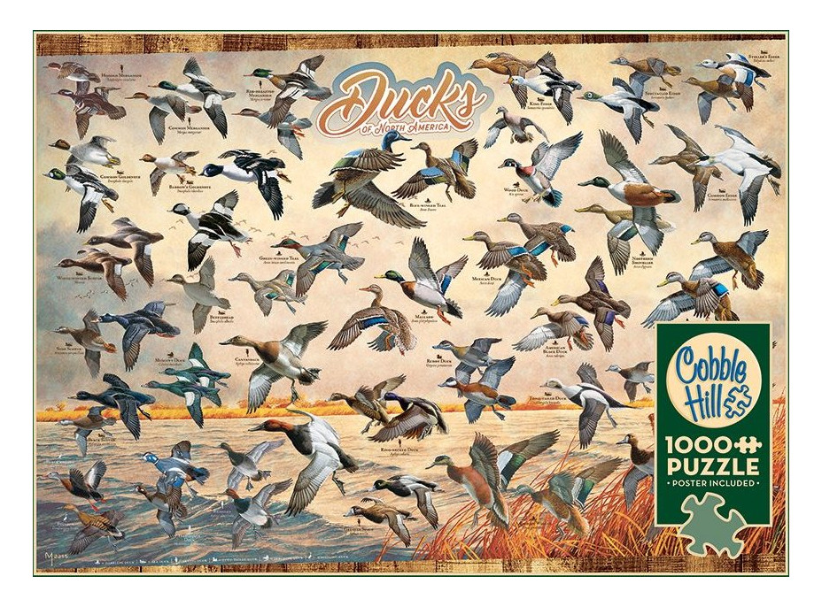COBBLE HILL Puzzle Kačice Severnej Ameriky 1000 dielikov