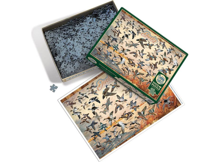 COBBLE HILL Puzzle Kačice Severnej Ameriky 1000 dielikov