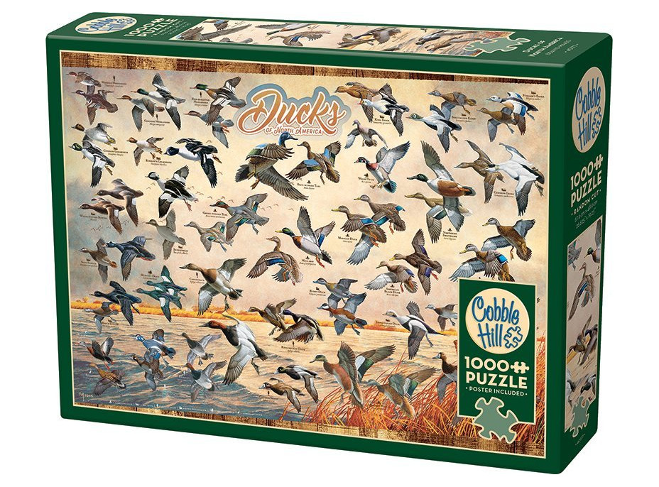 COBBLE HILL Puzzle Kačice Severnej Ameriky 1000 dielikov