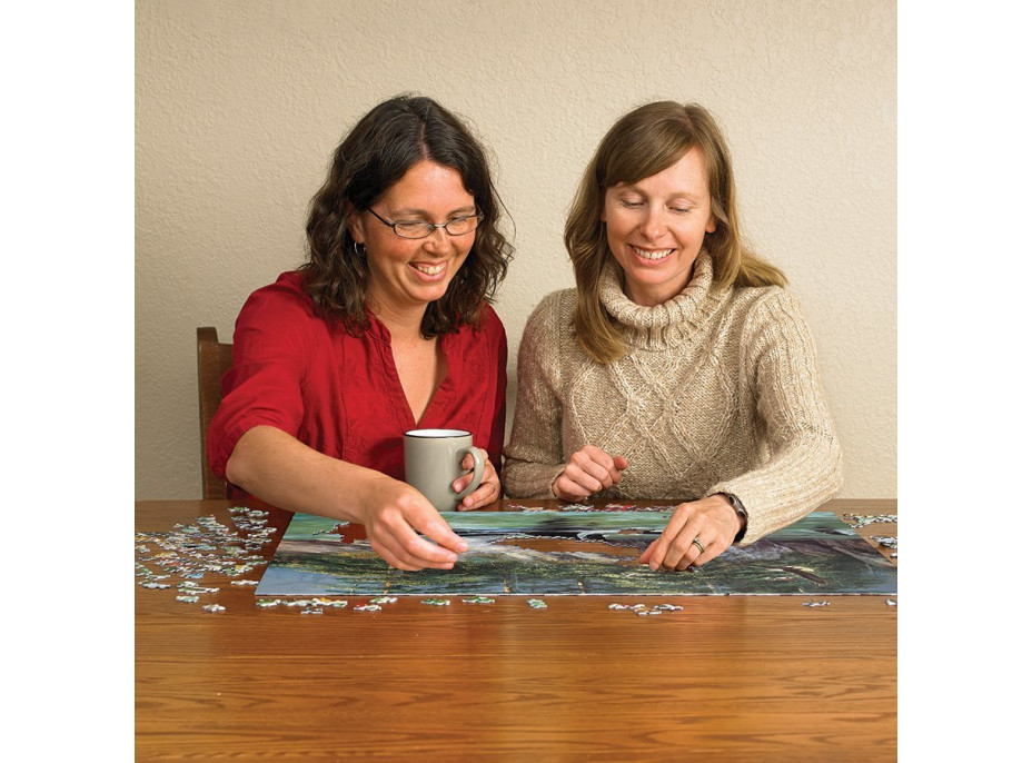COBBLE HILL Puzzle Kosatky 1000 dielikov