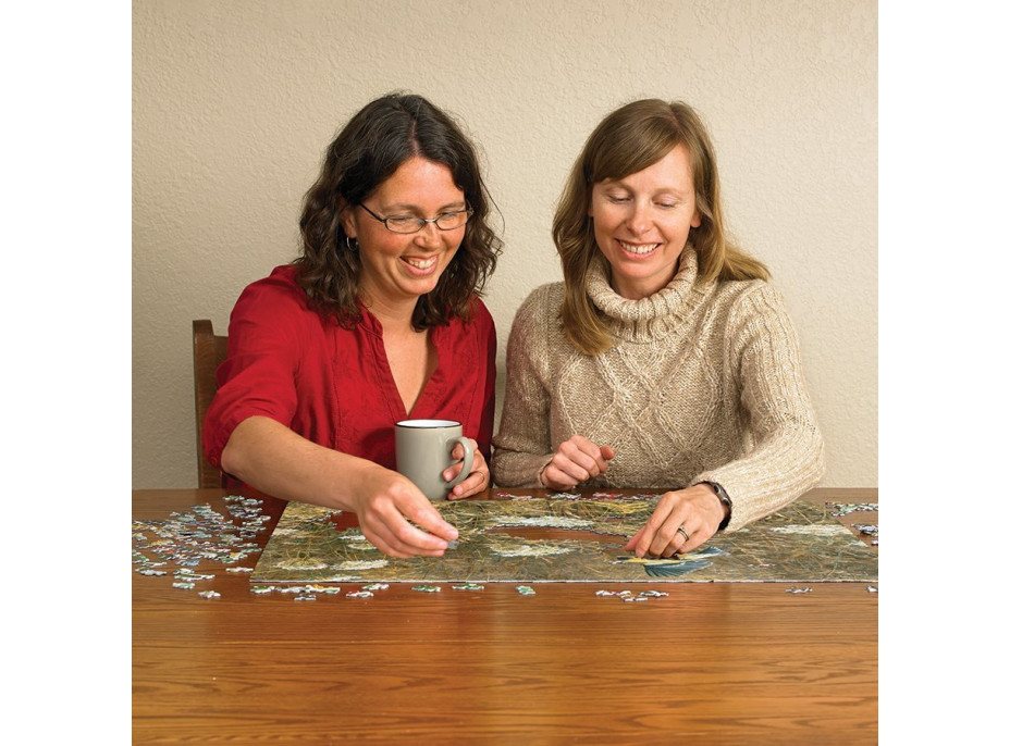 COBBLE HILL Puzzle Čipka kráľovnej Anny a americký zlatobyľ 500 dielikov