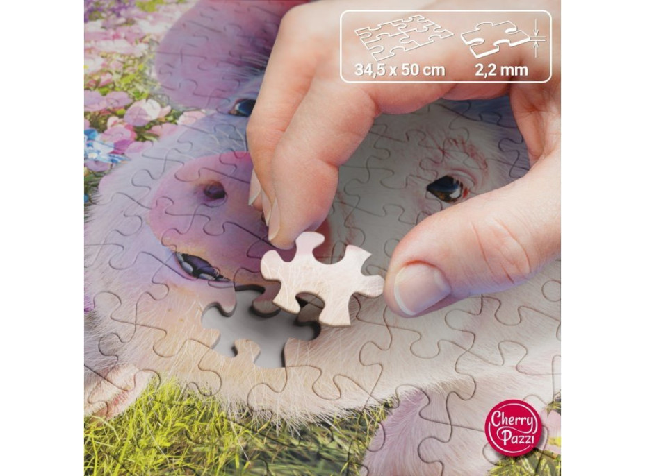 CHERRY PAZZI Puzzle Máš ma rád? 500 dielikov