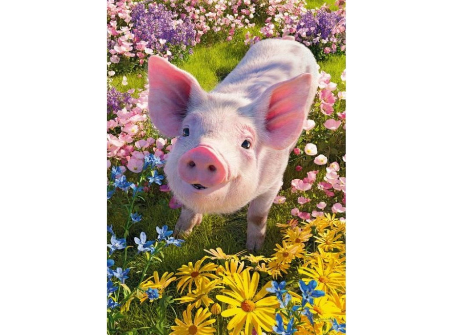 CHERRY PAZZI Puzzle Máš ma rád? 500 dielikov