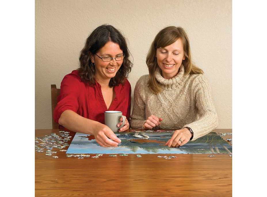 COBBLE HILL Puzzle Potáplica 1000 dielikov