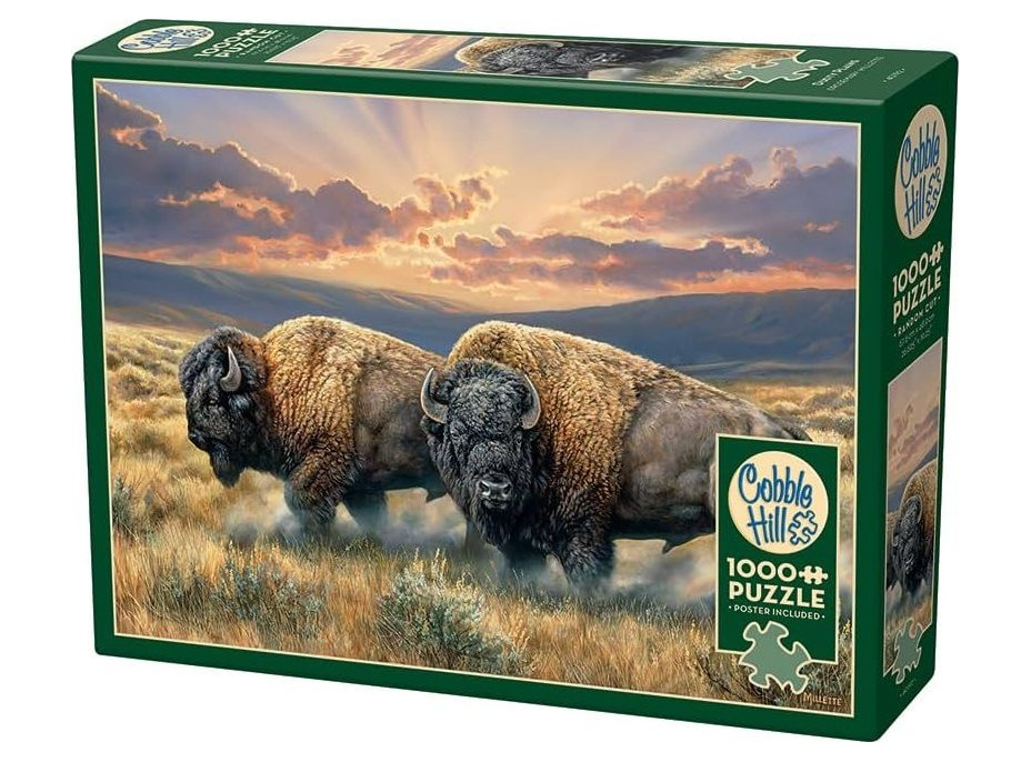 COBBLE HILL Puzzle Prašné pláne 1000 dielikov