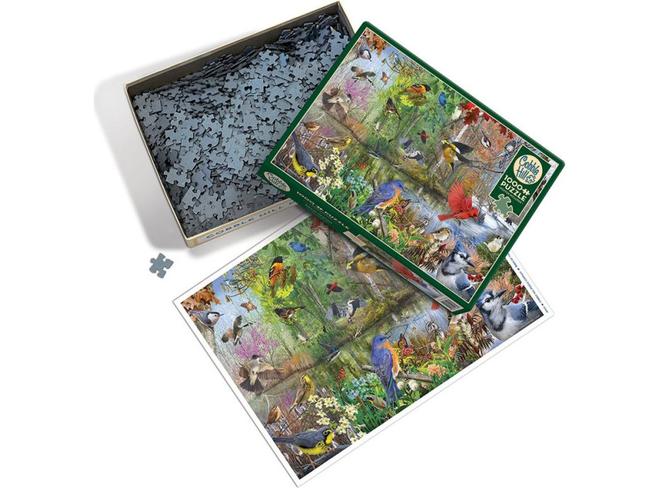 COBBLE HILL Puzzle Vtáky v ročných obdobiach 1000 dielikov