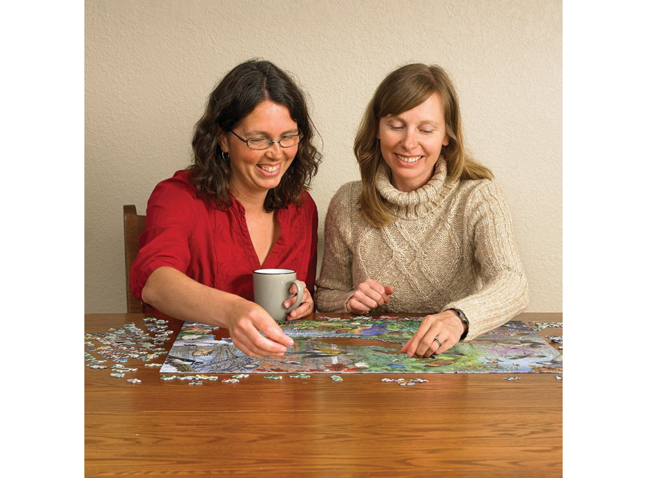 COBBLE HILL Puzzle Vtáky v ročných obdobiach 1000 dielikov