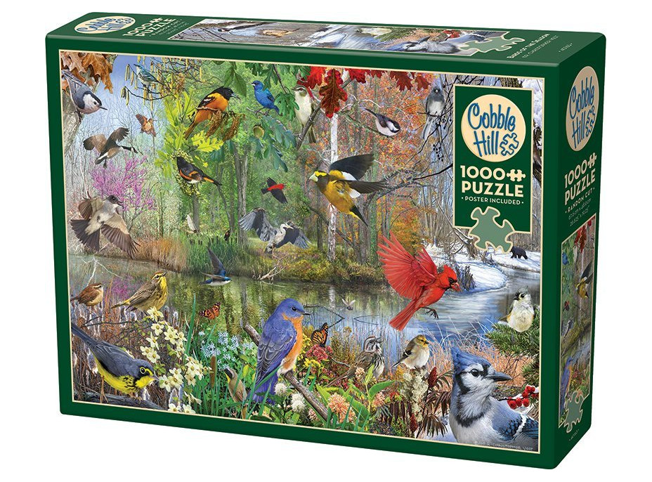COBBLE HILL Puzzle Vtáky v ročných obdobiach 1000 dielikov