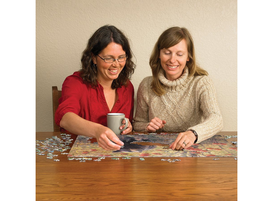 COBBLE HILL Puzzle Snívanie za zimného spánku 500 dielikov