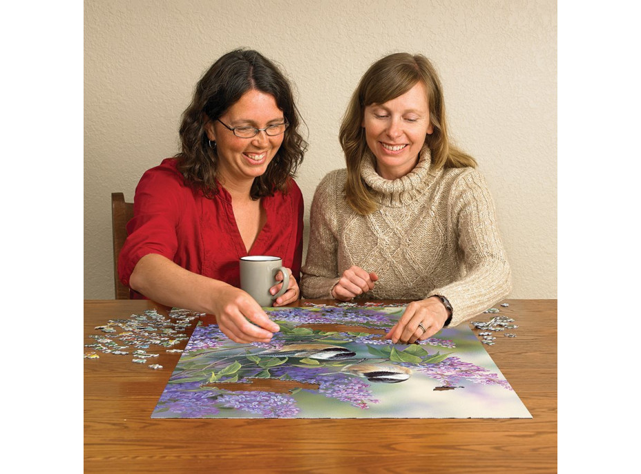 COBBLE HILL Puzzle Sýkorky na orgovánu 1000 dielikov