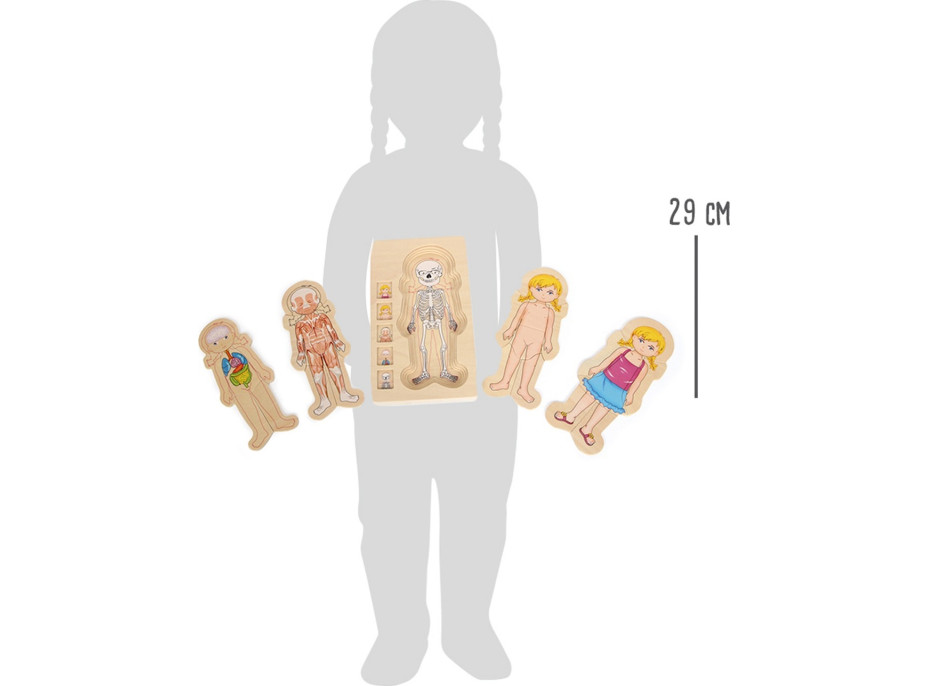 small foot Drevené puzzle anatómie