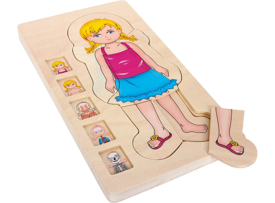 small foot Drevené puzzle anatómie