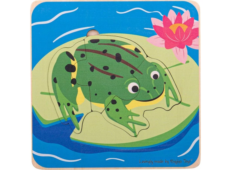 Bigjigs Toys Vkladacie puzzle životné cykly žaby