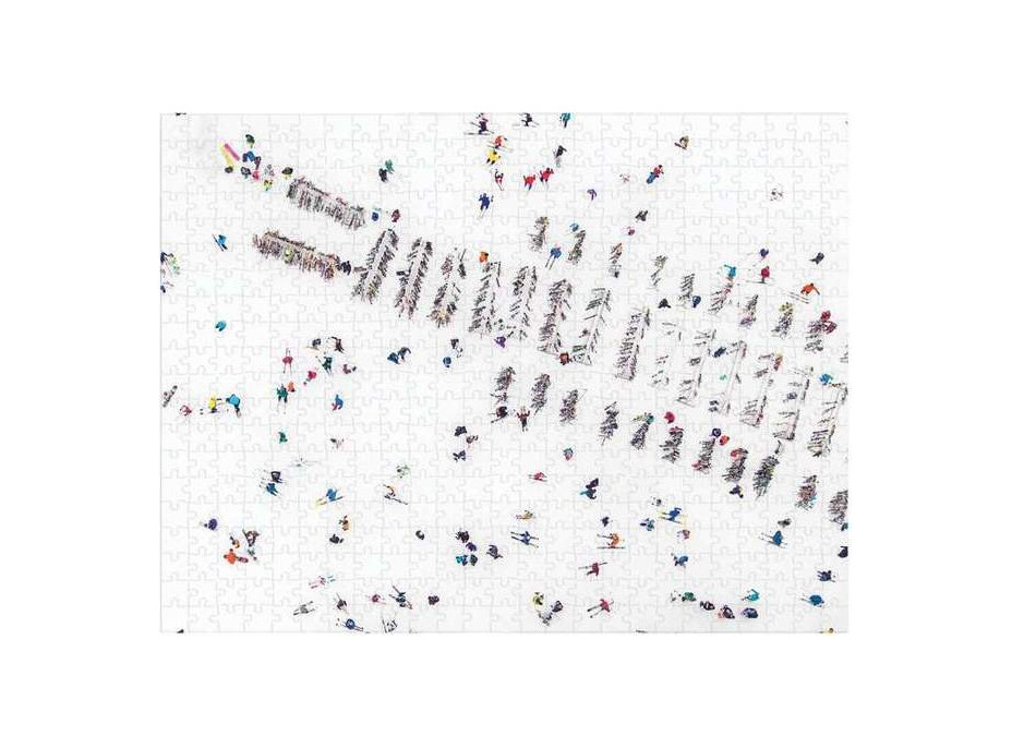 Galison Obojstranné puzzle Sneh Gray Malin 500 dielikov