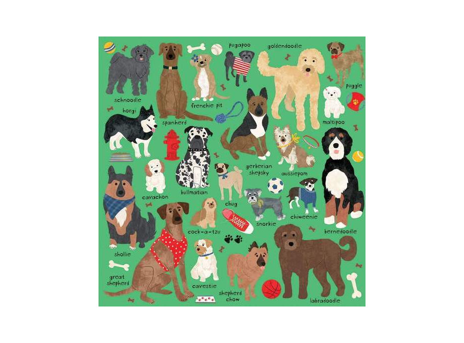 Mudpuppy Puzzle Plemená psov 500 dielikov