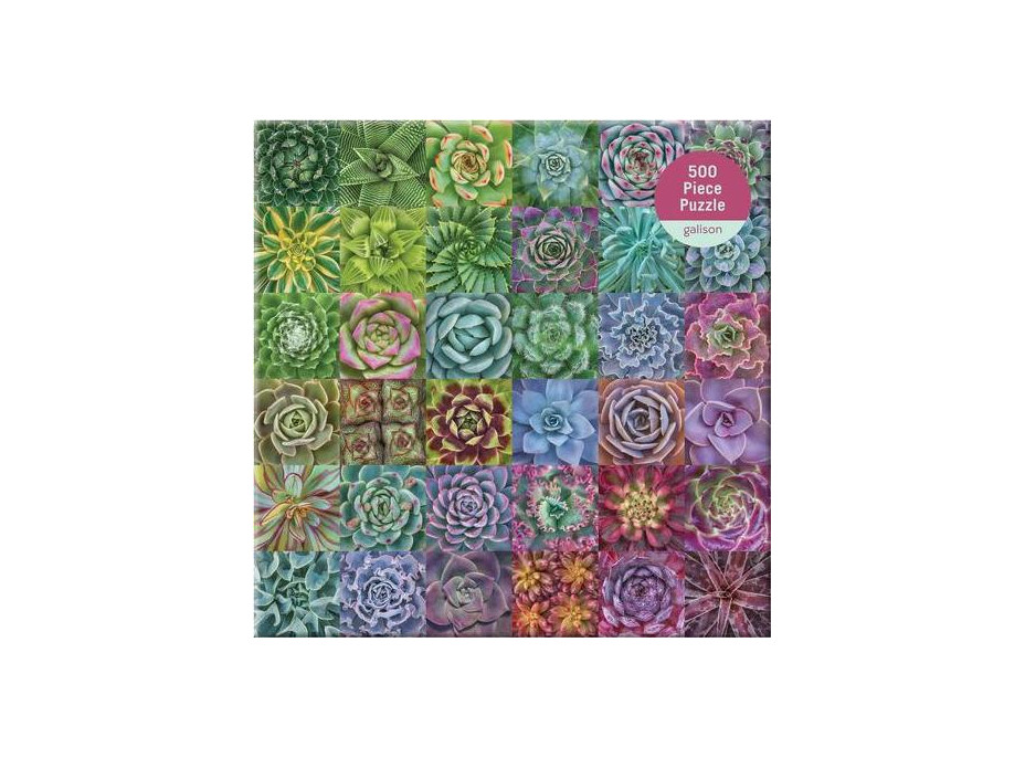 Galison Puzzle Farebné sukulenty 500 dielikov
