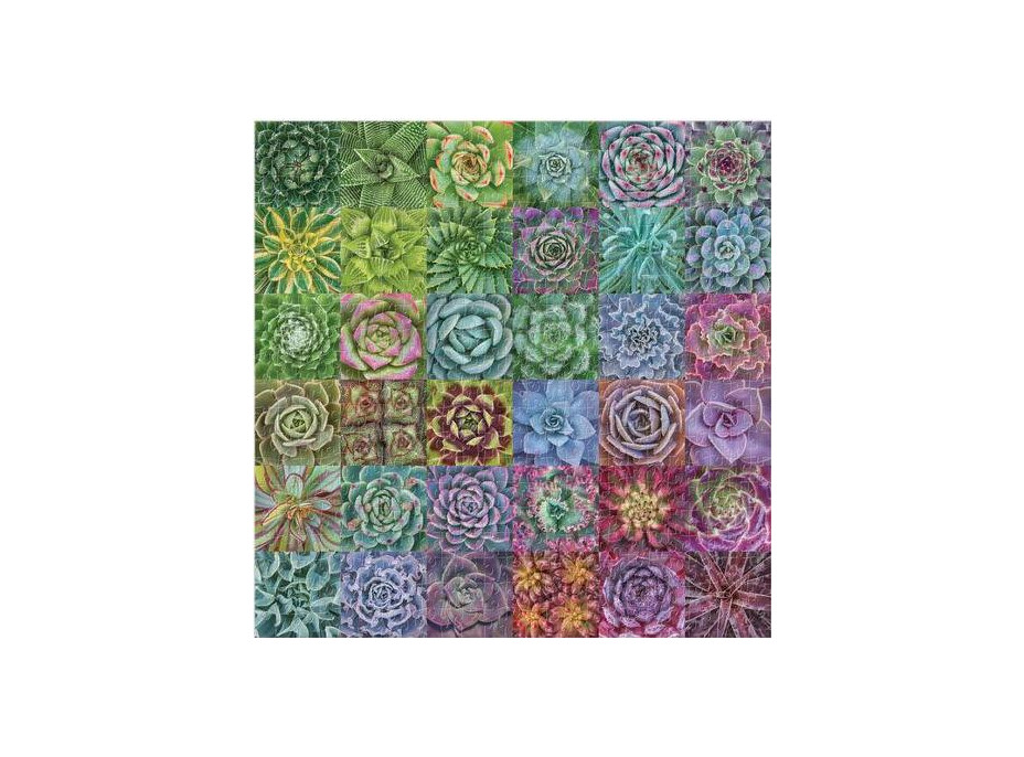 Galison Puzzle Farebné sukulenty 500 dielikov