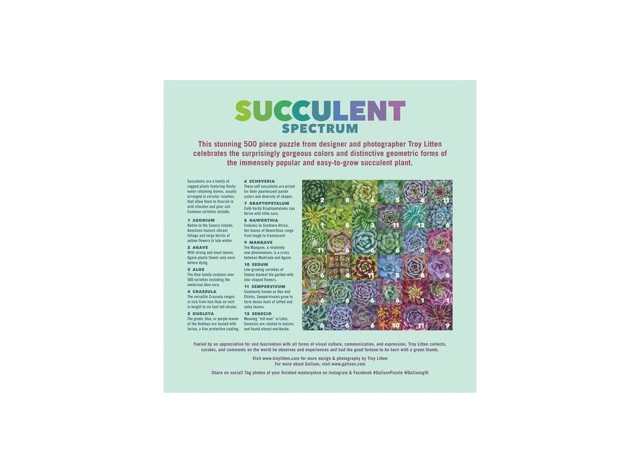 Galison Puzzle Farebné sukulenty 500 dielikov