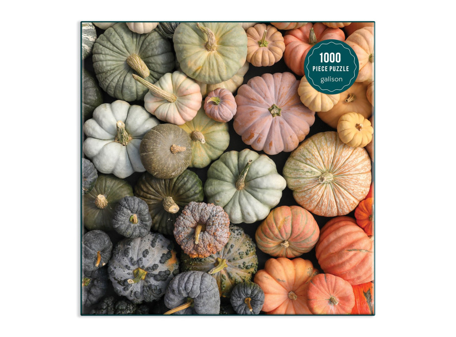 Galison Puzzle Okrasné tekvice 1000 dielikov