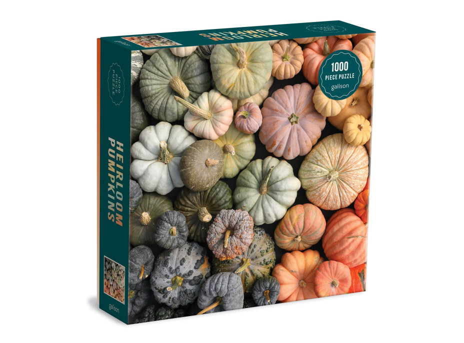 Galison Puzzle Okrasné tekvice 1000 dielikov