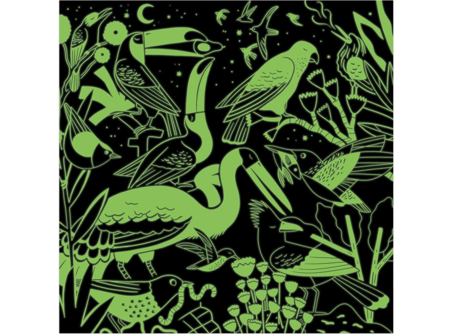 Mudpuppy Puzzle Vtáky - svietia v tme 500 dielikov