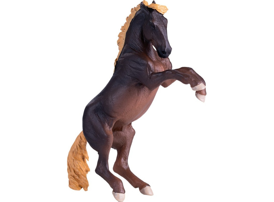 Mojo Žrebec Brumby