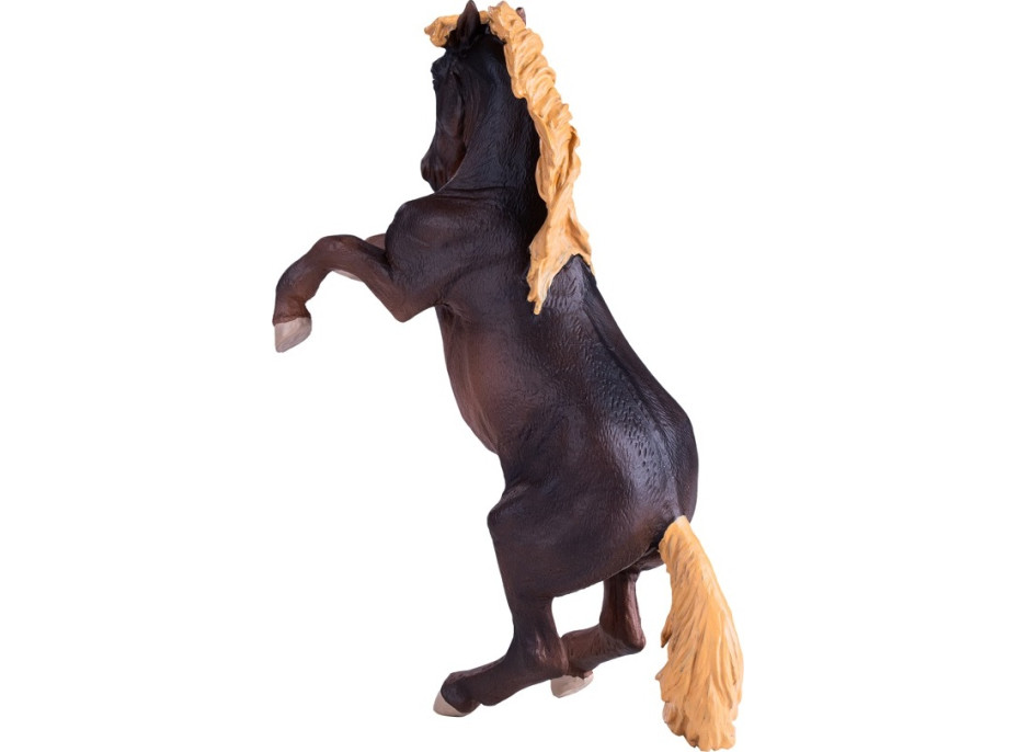 Mojo Žrebec Brumby